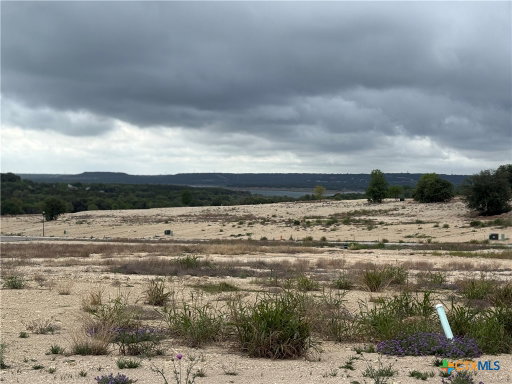 Media Image 3