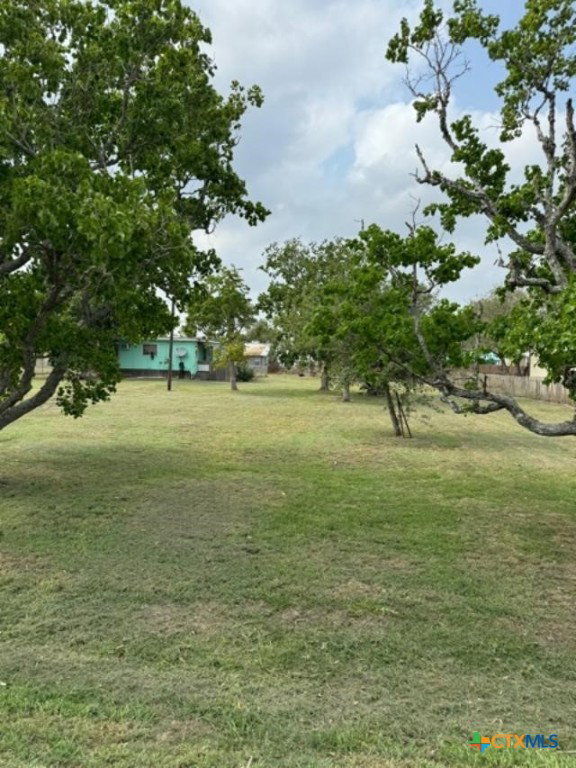 Media Image 1