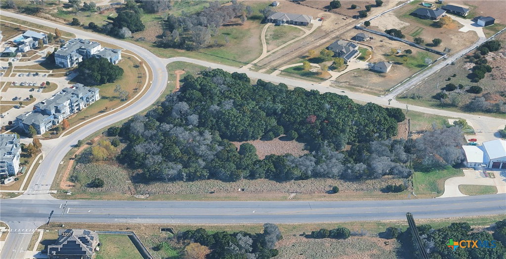 Media Image 1