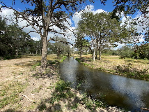 Media Image 2