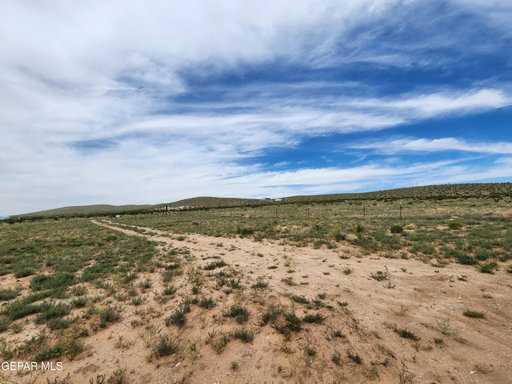 Media Image 3