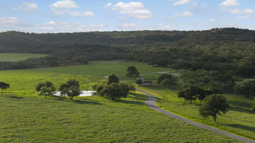 Media Image 3