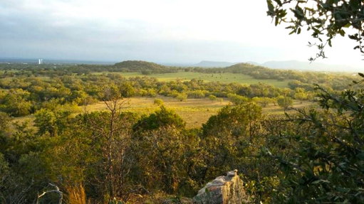 Media Image 3