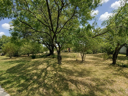 Media Image 3