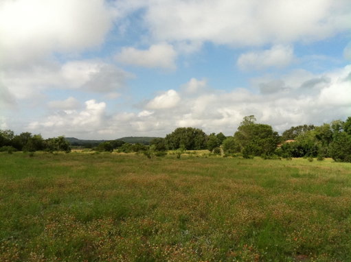 Media Image 3