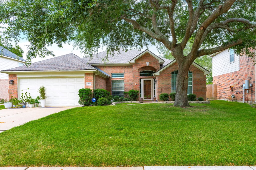 Media Image 1