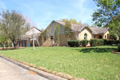 Media Image 3