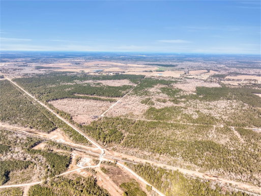 Media Image 2