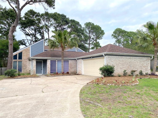 Media Image 2