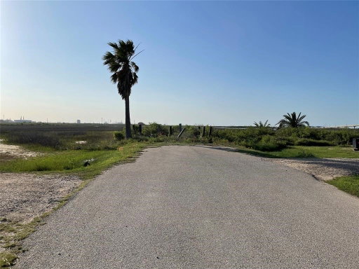 Media Image 3
