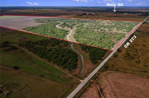 Media Image 2