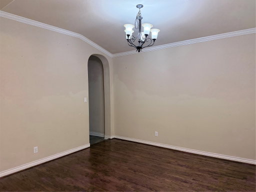 Media Image 3
