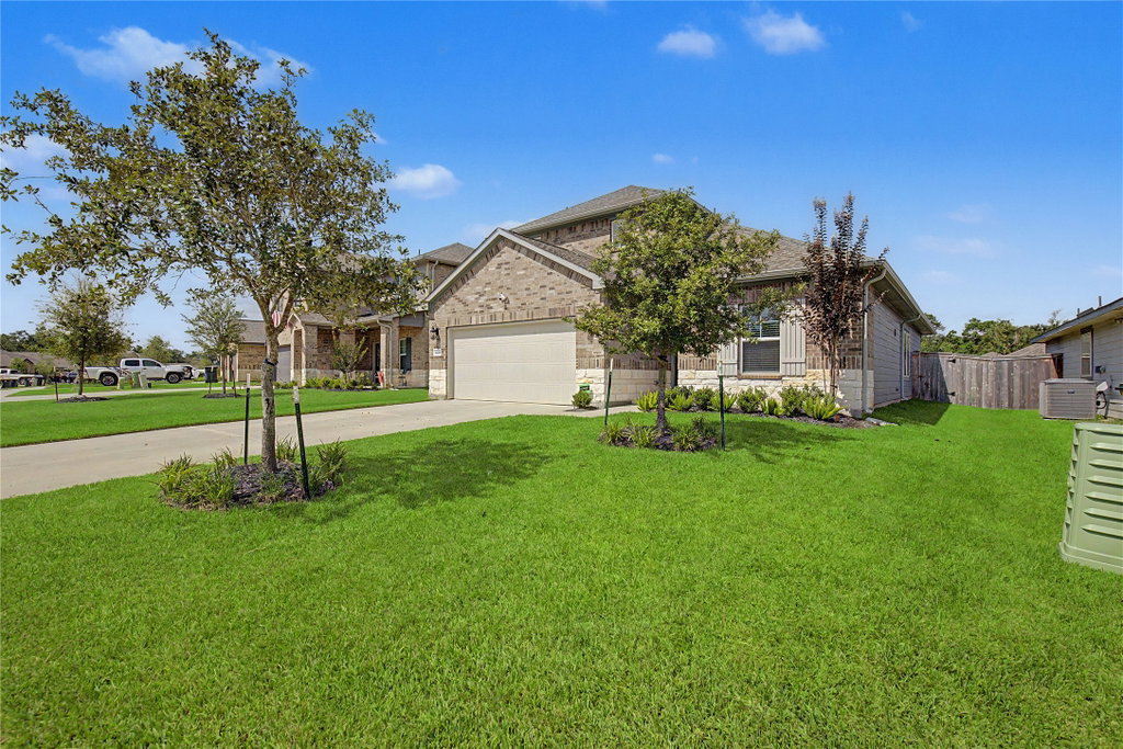 Media Image 1