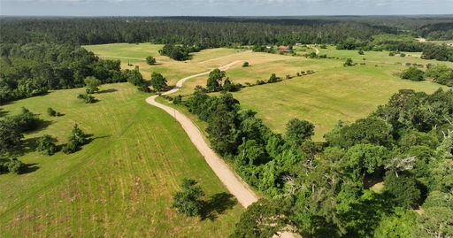 Media Image 2