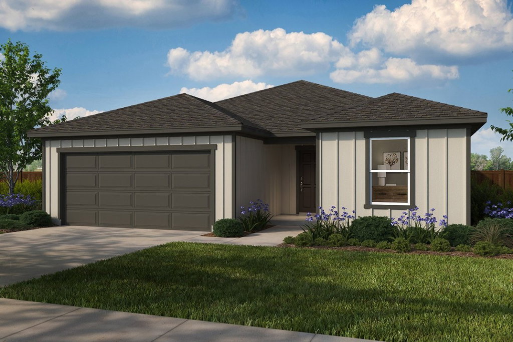 Media Image 1