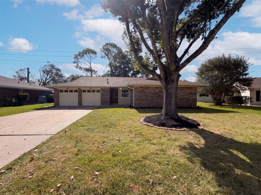Media Image 1