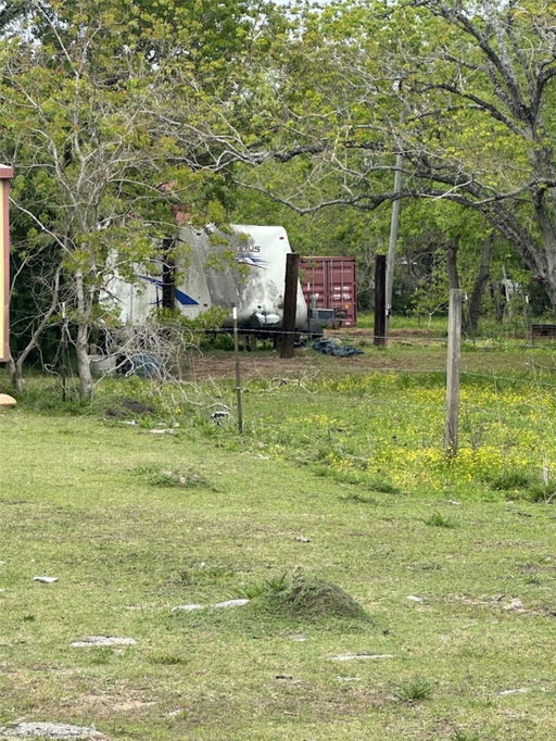 Media Image 2