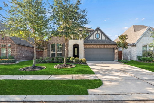 Media Image 2