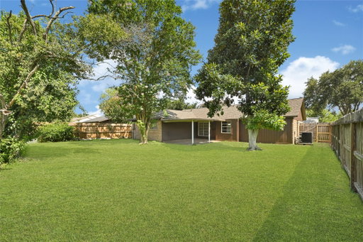 Media Image 2