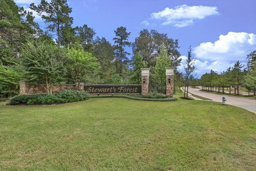 Media Image 3