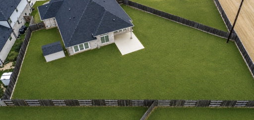 Media Image 3