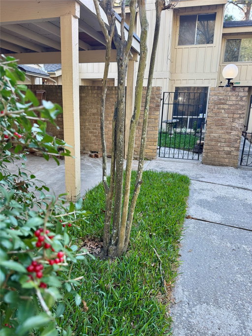Media Image 2