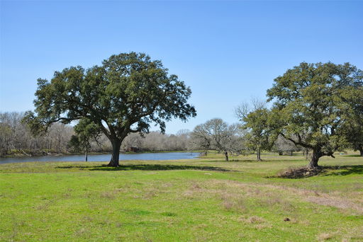 Media Image 2