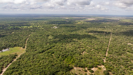 Media Image 3
