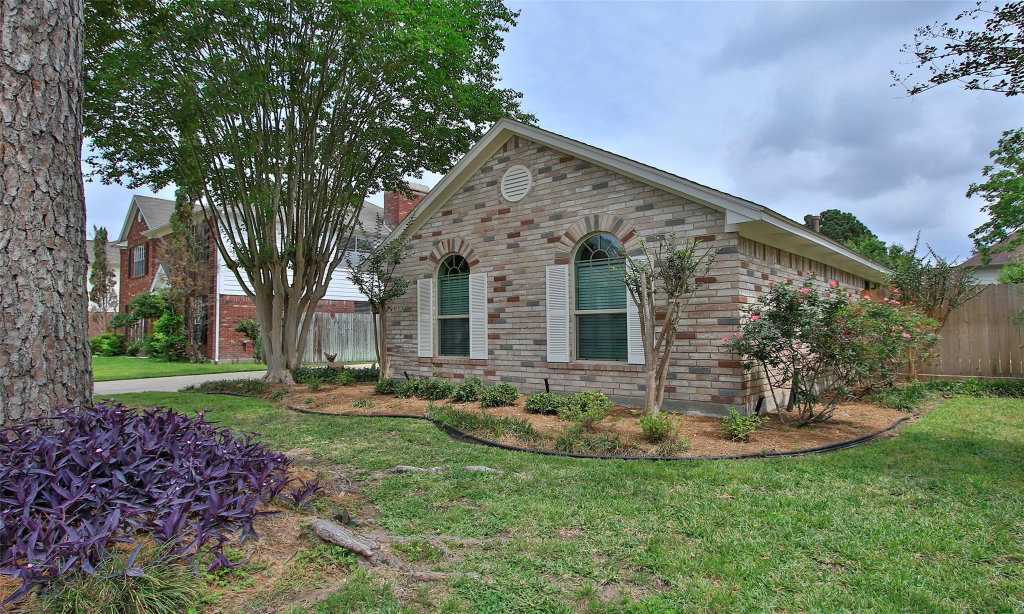 Media Image 1
