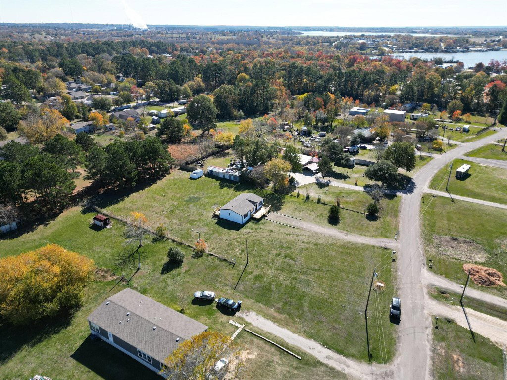 Media Image 1