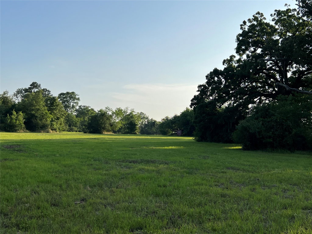 Media Image 1