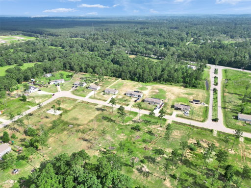 Media Image 2