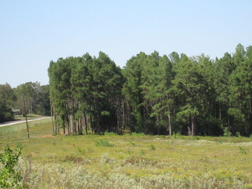 Media Image 3