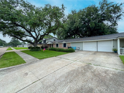Media Image 3