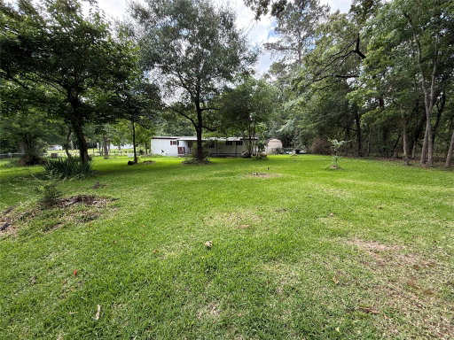 Media Image 3