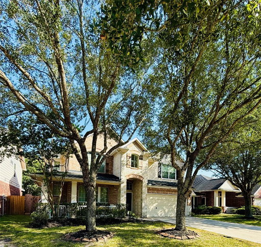 Media Image 3
