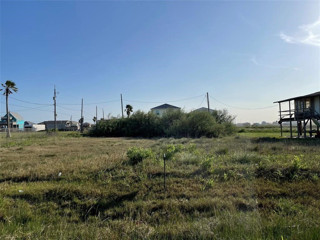 Media Image 1