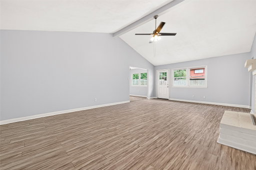 Media Image 3