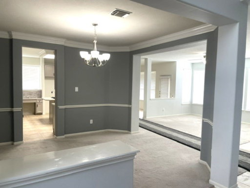Media Image 3