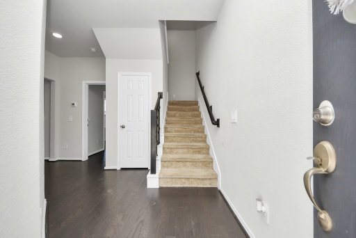 Media Image 3