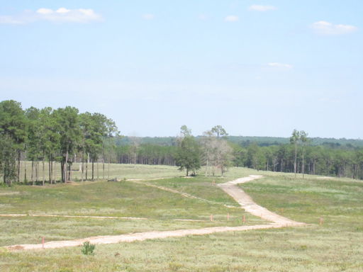 Media Image 3