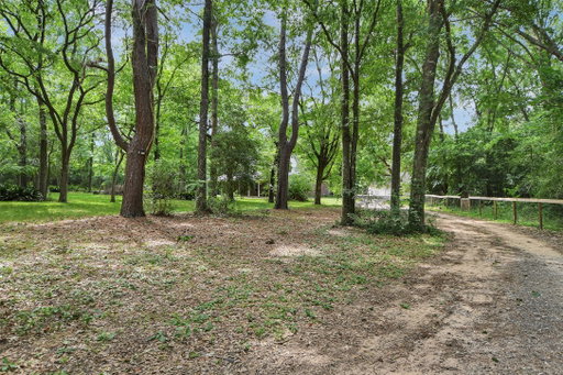 Media Image 2
