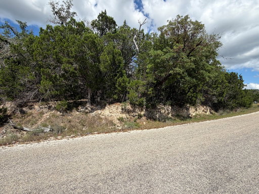 Media Image 2
