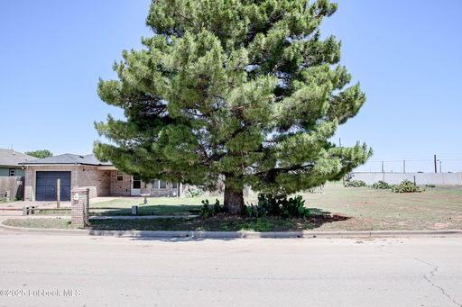 Media Image 3