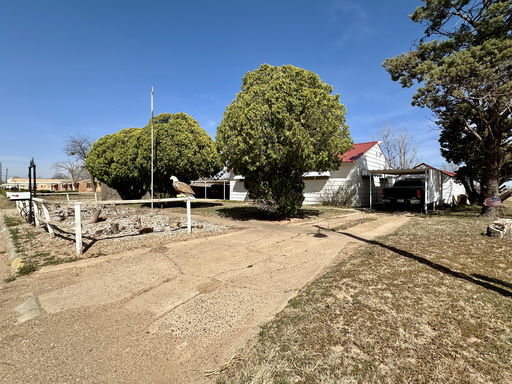 Media Image 2