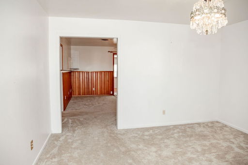 Media Image 3