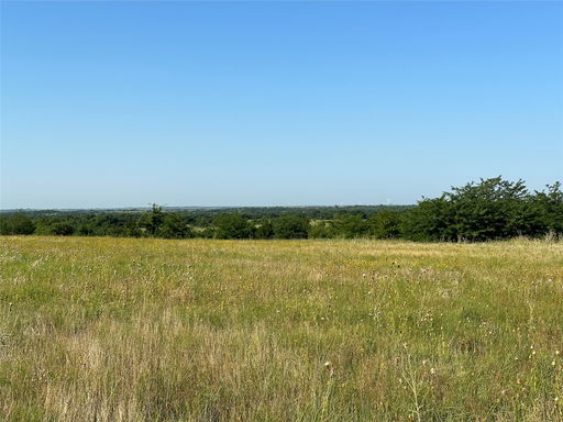 Media Image 3