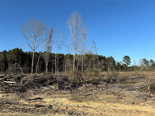Media Image 3