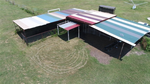 Media Image 3