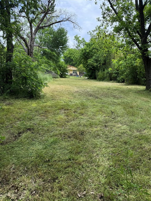 Media Image 3